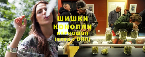 гашик Бородино
