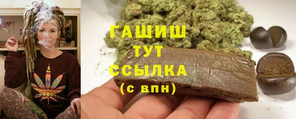 крисы Нижний Тагил