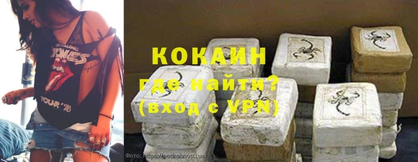 гашик Бородино