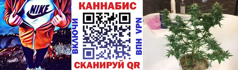 Бошки марихуана THC 21%  Буй 
